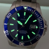 FESTINA F20531/3